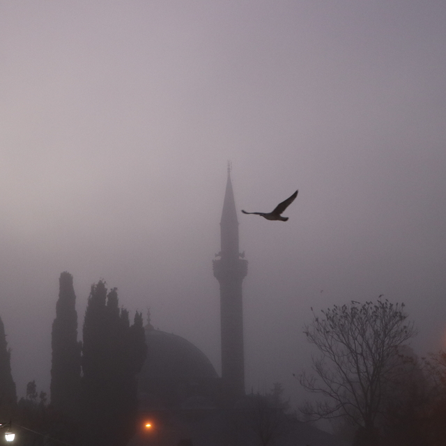 Edirne ve Tekirdağ'da yoğun sis etkili oldu