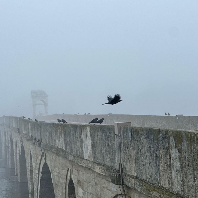 Edirne'de sis etkili oldu