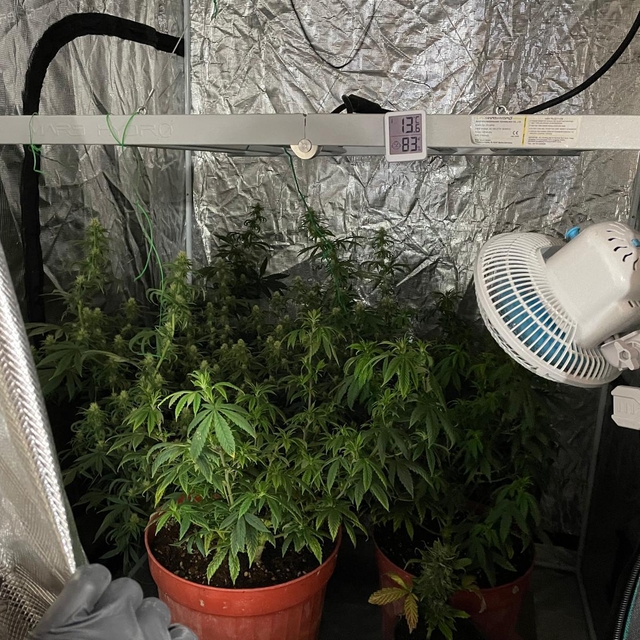 İzmir'de uyuşturucu operasyonunda yakalanan 3 şüpheli tutuklandı