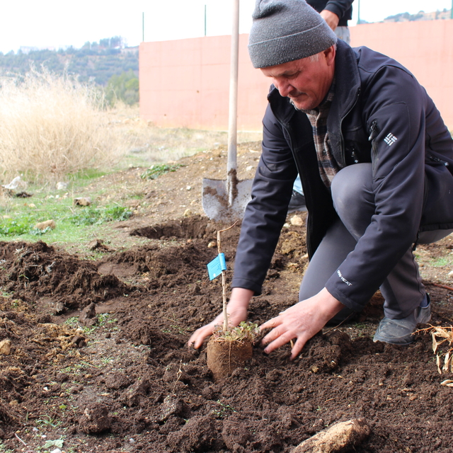 Elmalı'da üreticilere Antep fıstığı fidesi hibe edildi