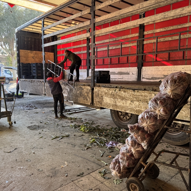 Alanya'da içinde ateş yakılan tenekenin patlaması paniğe neden oldu