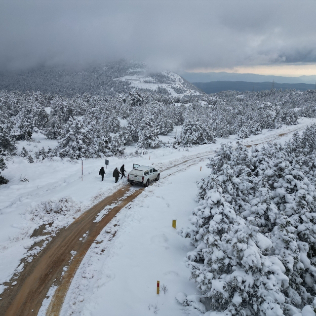 Muğla'da yaban hayvanları için doğaya yem bırakıldı