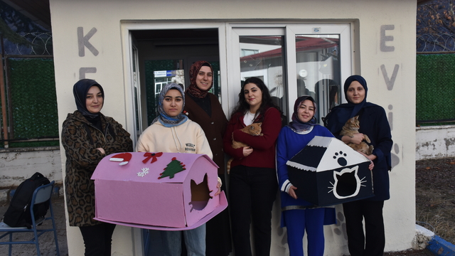 Gümüşhane'deki yurt bahçesi kedilere yuva oldu