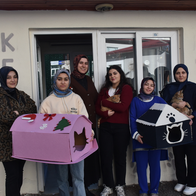 Gümüşhane'deki yurt bahçesi kedilere yuva oldu