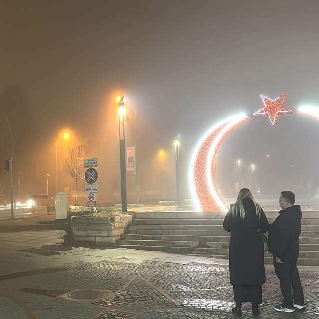 Edirne'de yoğun sis etkili oluyor