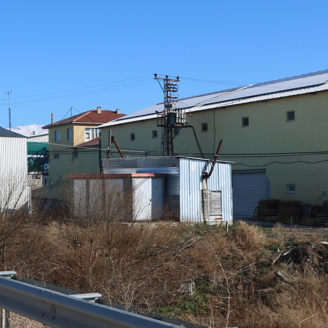 Afyonkarahisar'daki tavuk çiftliğinde kuş gribi tespit edildi