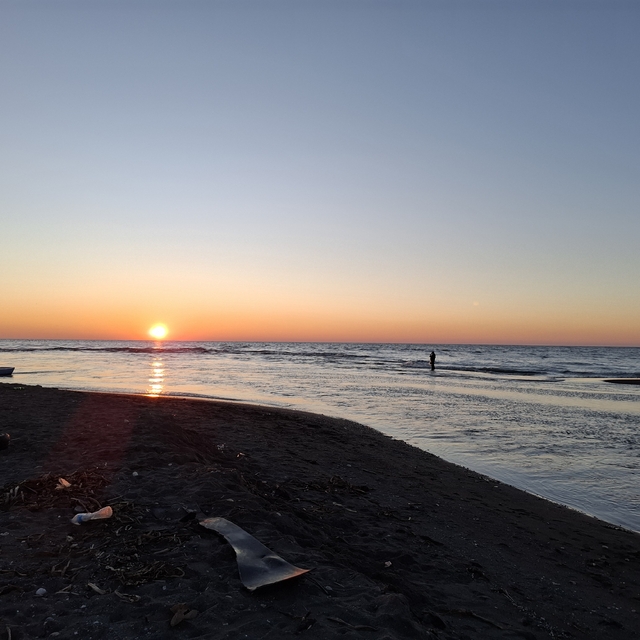 Asi Nehri'nde balıkçıların gün doğumunda balık mesaisi