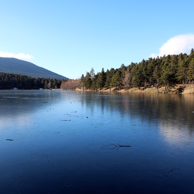 Gölcük Tabiat Parkı'ndaki göl buz tuttu