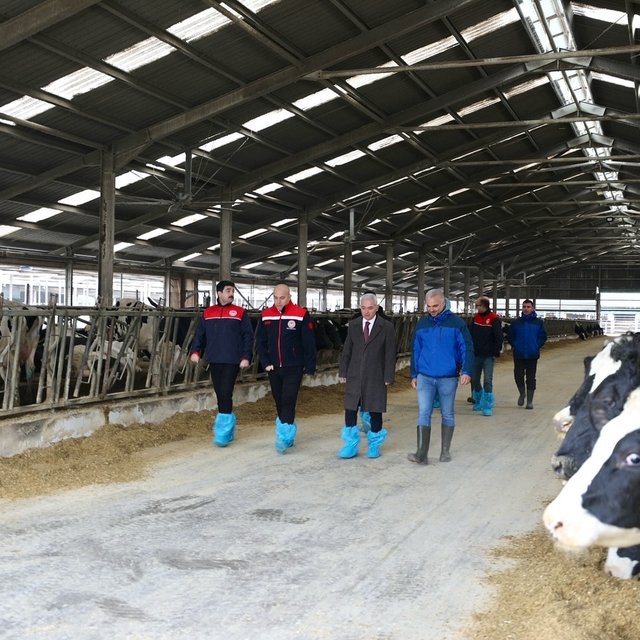 Kırklareli Valisi Turan, modern hayvancılık tesisini gezdi
