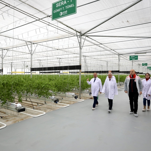 Kırklareli Valisi Turan, jeotermal seracılık tesisini gezdi