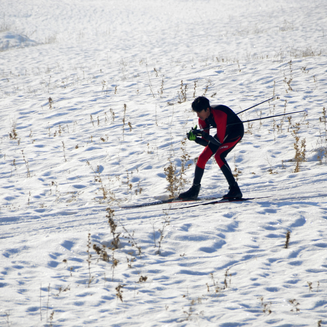 Yüksekova'da Kayaklı Koşu İl Birinciliği Yarışması düzenledi