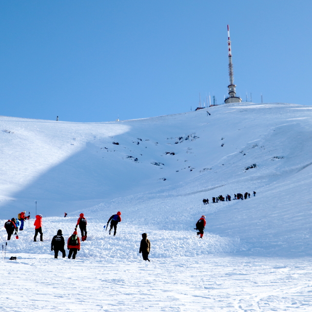 Palandöken Dağı'nda yerli ve yabancı eğitmenlerle "çığ tatbikatı" yapıldı