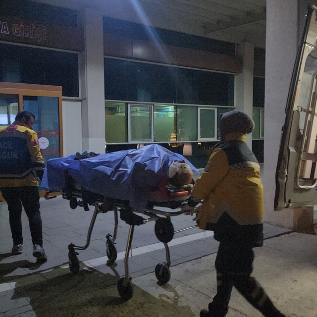 Konya'da önce köpeğe sonra duvara çarpan otomobilin sürücüsü yaralandı