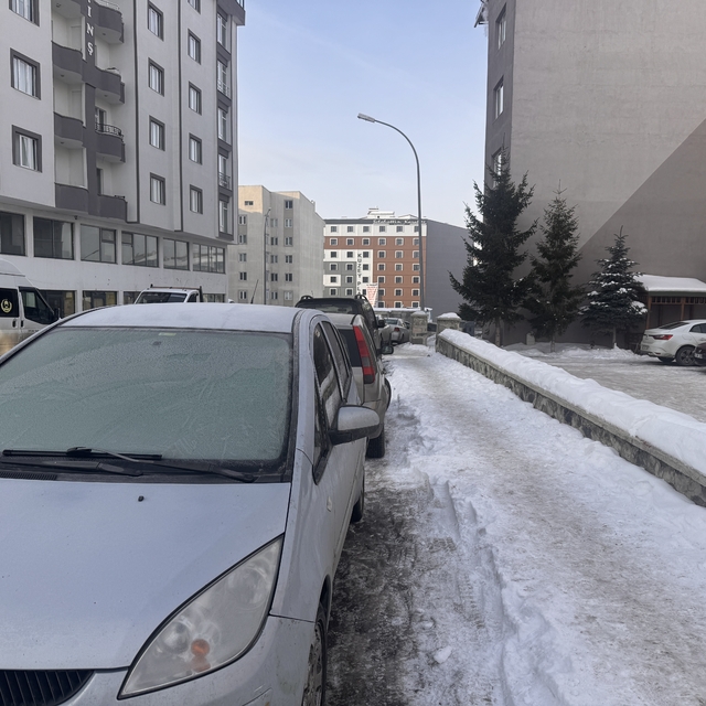Ağrı ile Erzurum'da dondurucu soğuklarla nehir ve dereler buzla kaplandı
