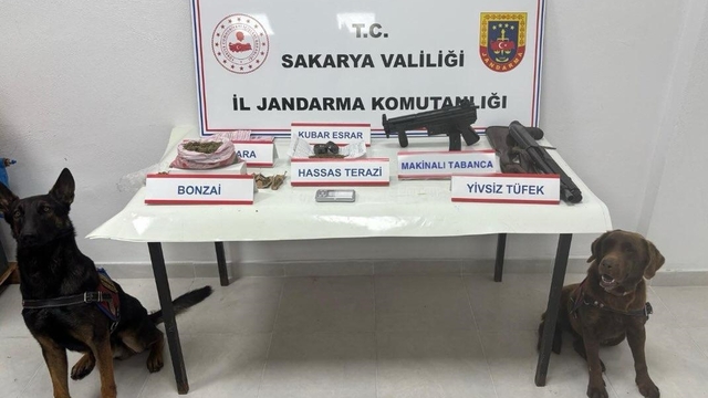 Sakarya'da geçen ay uyuşturucu ve kaçakçılığın önlenmesi kapsamında 135 operasyon düzenlendi