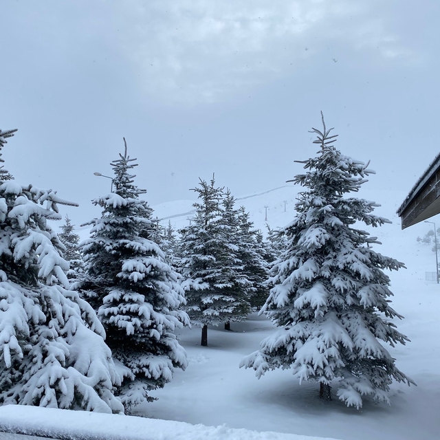 Samsun'dan kısa kısa