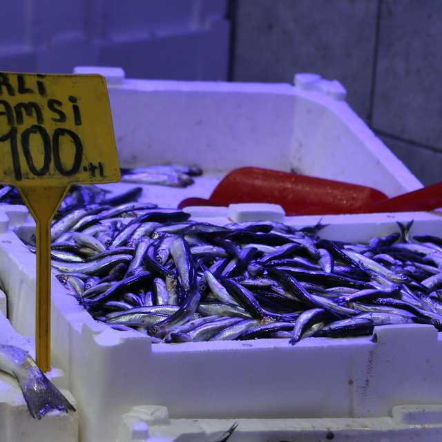 Samsun'da hamsi 100 liraya tezgahlarda yerini aldı