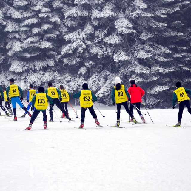 Bolu'da, Türkiye Kayakla Oryantiring Şampiyonası düzenlendi