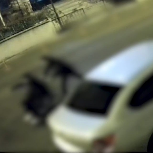 Tekerlekli sandalye çalan 2 şüpheli yakalandı; o anlar kamerada