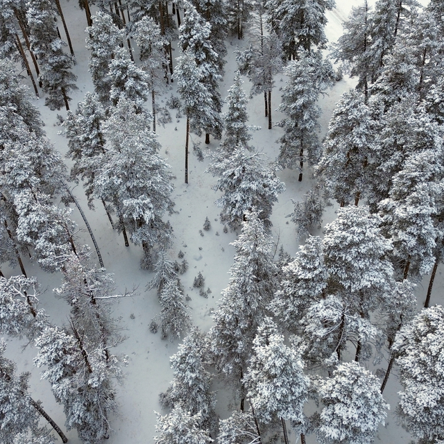 Doğu Anadolu'da 5 ilde kar yağışı kentleri yeniden beyaza bürüdü