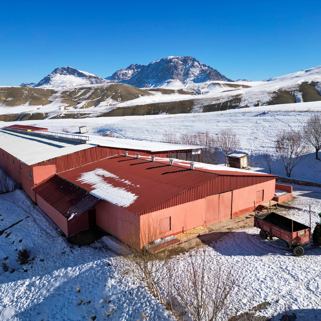 Vanlı genç girişimci, 300 küçükbaş hayvanını 9 yılda 3 bin 500'e çıkardı