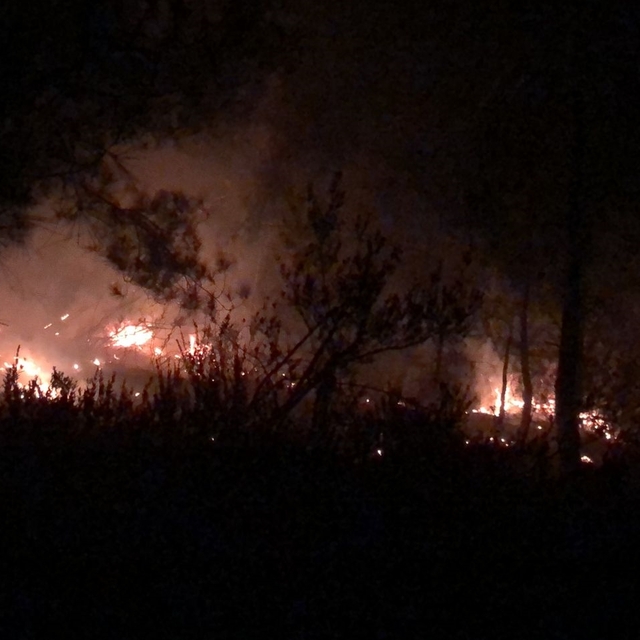 Kozan'da çıkan orman yangını söndürüldü