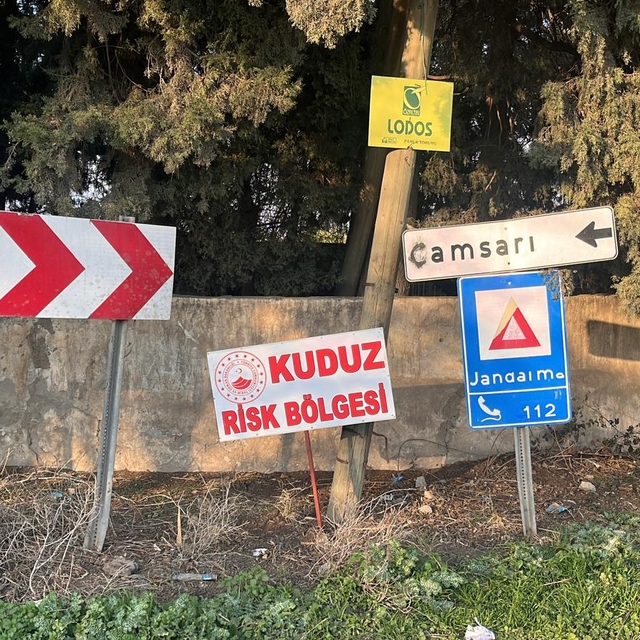 Hatay'da bir mahalle kuduz nedeniyle karantinaya alındı