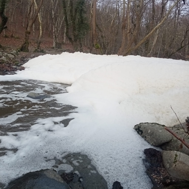 Manyas'taki Ketenlik Deresi, ahır temizliğinde kullanılan kimyasallarla bey...