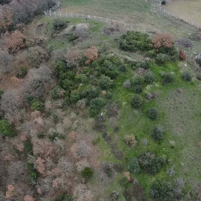 Granikos Savaşı'nın alanını ararken Hermaion Antik Kenti'nin yeri de keşfed...