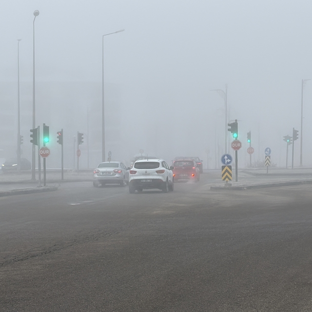 Sivas'ta yoğun sis