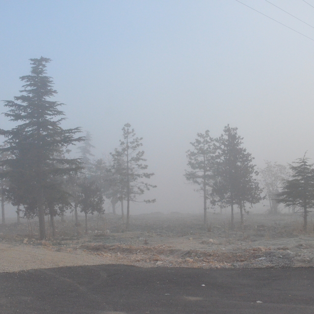 Karaman'da sis etkili oldu