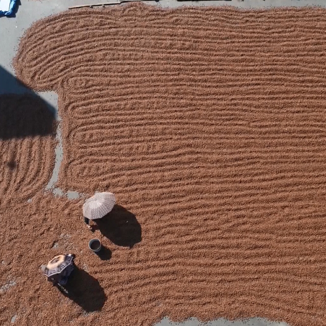 Karadeniz'de fındık ihracatında artış