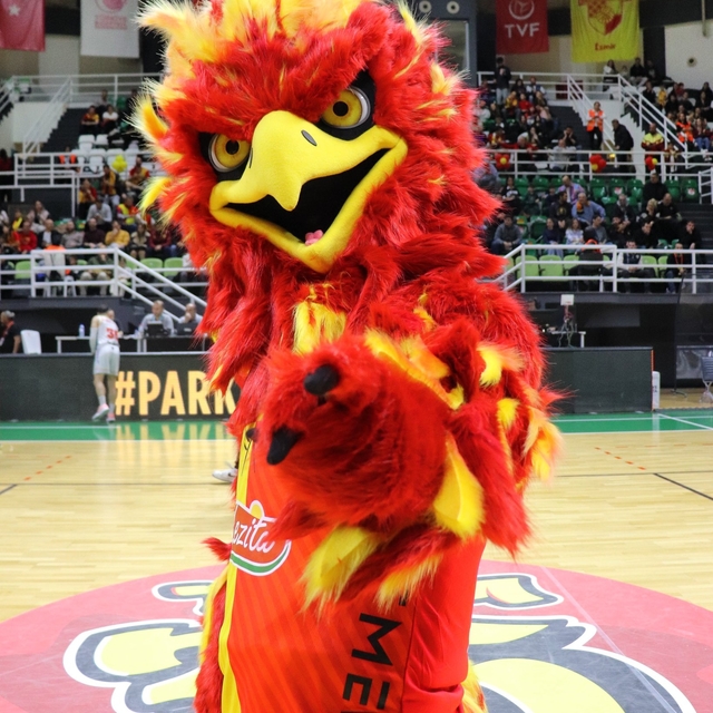 Göztepe'nin maskotu ilk maçta karakolluk oldu