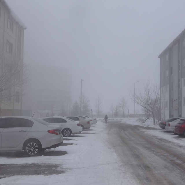 Bitlis'te kardan kapanan 28 köy yolu, ulaşıma açıldı