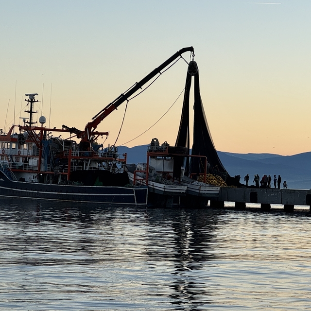 Karadeniz'de avlanan balıkçıların güvenli mola alanı Sinop Limanı