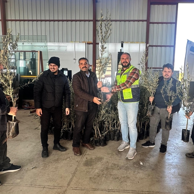 Alanya'daki üreticilere zeytin ve Toros fıstığı fidanı hibe edildi