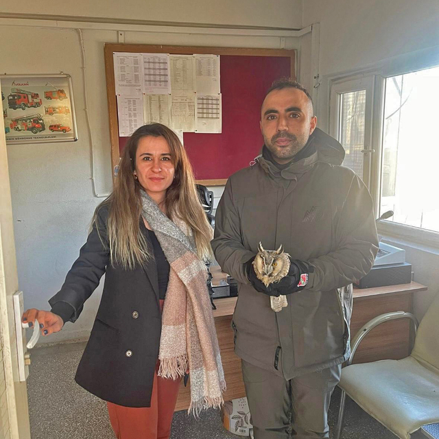 Şırnak'ta yaralı bulunan 2 puhu tedaviye alındı