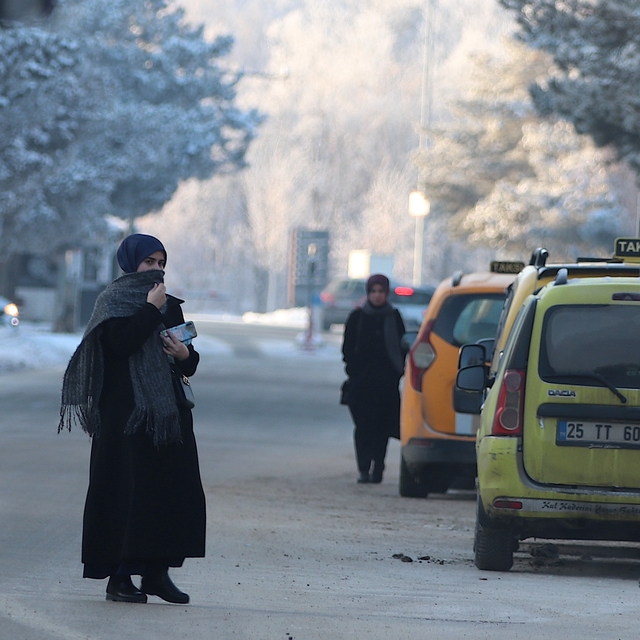 Doğu Anadolu'daki 5 kentte soğukların etkisiyle sis, kırağı ve buzlanma olu...