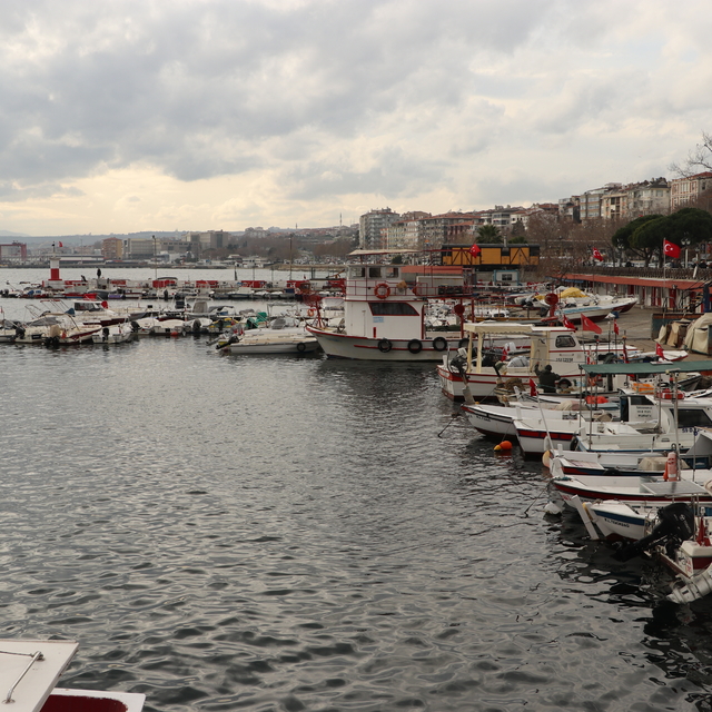 Tekirdağlı balıkçıların yüzü hamsi ve çinekop avıyla gülüyor