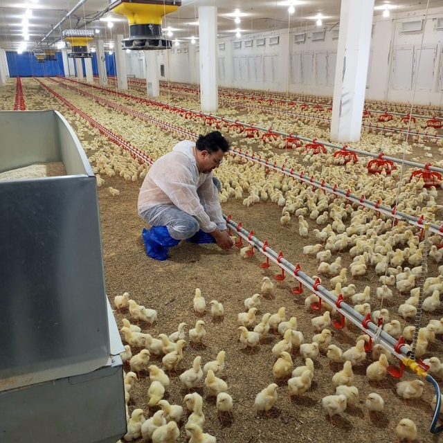 Samandağ İlçe Tarım ve Orman Müdürlüğü ekiplerinden denetim