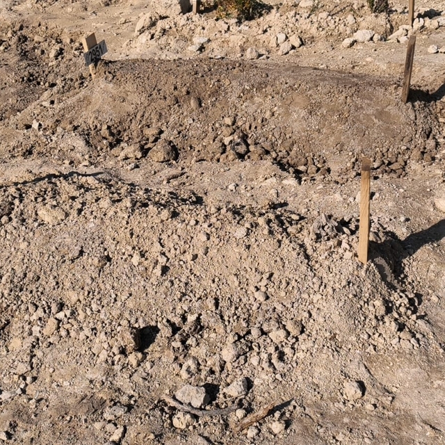 Fare zehrinden ölen kardeşlerin sayısı 3'e yükseldi (2)