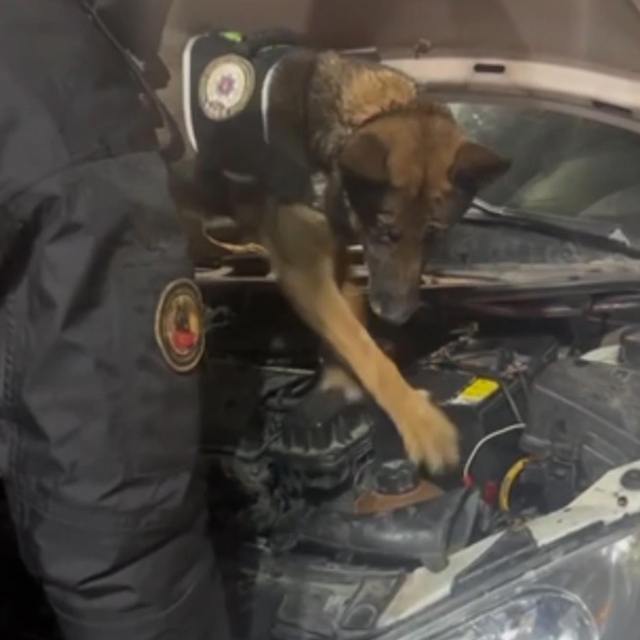 Erzurum'da aküye gizlenmiş 3 kilo uyuşturucuyu 'Su' buldu