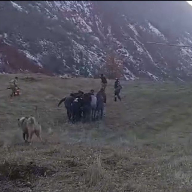 Domuz saldırısından kaçarken uçurumdan düştü, askeri helikopterle hastaneye...