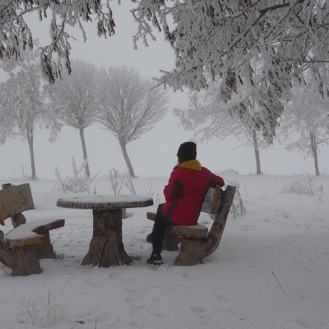Bitlis'te ağaçlar kırağı tuttu