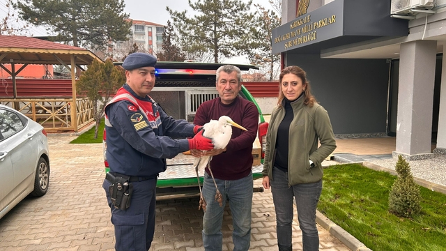 Kırıkkale'de jandarmanın bulduğu yaralı büyük ak balıkçıl kuşu tedavi altına alındı