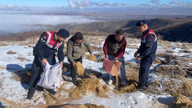 Aksaray'da jandarma sahipsiz köpek ve yaban hayvanları için doğaya yem bıraktı