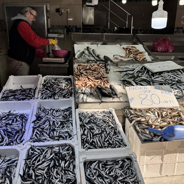 Karadeniz'de balıkçılar güzel havadan memnun