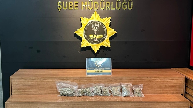 Şanlıurfa'da uyuşturucu operasyonunda yakalanan zanlı tutuklandı