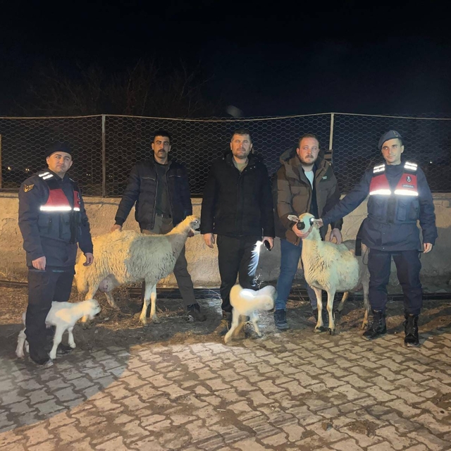 Kayseri'de çaldıkları küçükbaş hayvanları satan 3 zanlı yakalandı