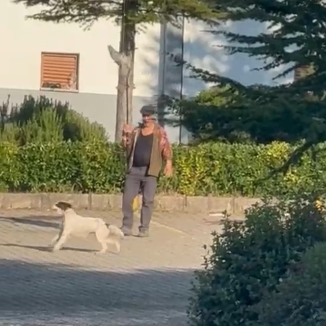 Olta ucuna bağladığı canlı güvercinle av köpeğine eğitim yaptıran kişiye pa...